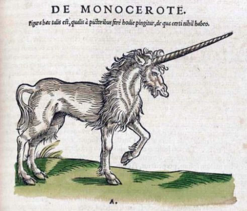 unicorn